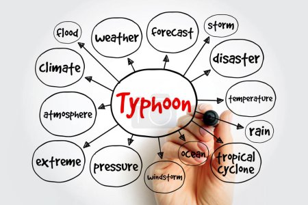 Téléchargez les photos : Carte mentale du typhon, concept de présentations et de rapports - en image libre de droit