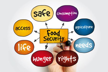 Seguridad Alimentaria es la medida de la capacidad de un individuo para acceder a alimentos que es nutritivo y suficiente en cantidad, fondo de concepto de mapa mental