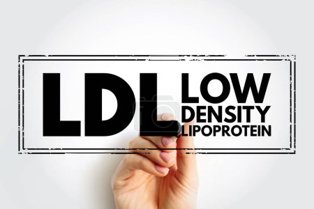 Photo for LDL Low-Density Lipoprotein - one of the five major groups of lipoprotein which transport all fat molecules around the body in the extracellular water, acronym text stamp - Royalty Free Image