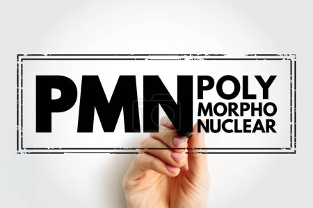 Foto de PMN PolyMorphoNuclear - having a nucleus with several lobes and a cytoplasm that contains granules, as in an eosinophil or basophil, acronym text concept stamp - Imagen libre de derechos
