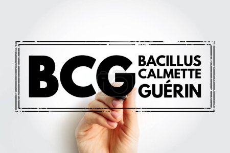 Photo for BCG Bacillus Calmette-Guerin - vaccine provides immunity or protection against tuberculosis, acronym text concept stamp - Royalty Free Image