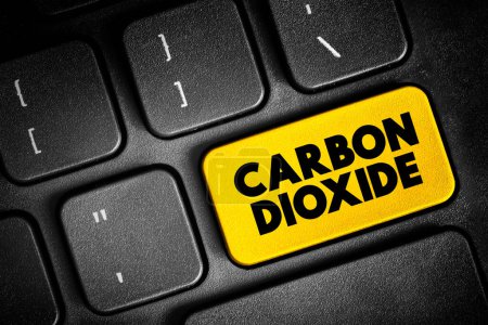 Foto de El dióxido de carbono es un compuesto químico compuesto por moléculas que cada una tiene un átomo de carbono unido covalentemente a dos átomos de oxígeno, botón de texto en el teclado, fondo conceptual - Imagen libre de derechos