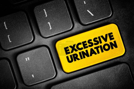 Téléchargez les photos : Urination excessive est quand vous avez besoin d'uriner plusieurs fois tout au long d'une période de 24 heures, bouton texte sur le clavier, arrière-plan concept - en image libre de droit