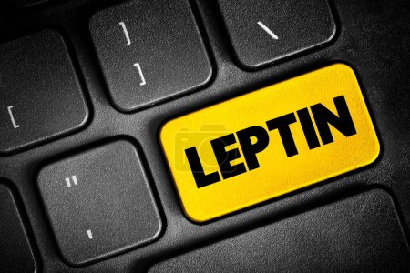 Photo for Leptin is a hormone made by adipose cells and its primary role is to regulate long-term energy balance, text button on keyboard, concept background - Royalty Free Image