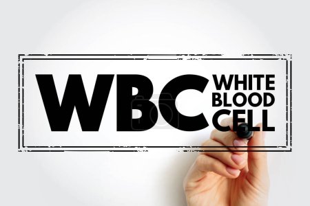 Photo for WBC White Blood Cell - cellular component of blood that helps defend the body against infection, acronym text stamp concept background - Royalty Free Image
