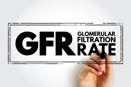 Téléchargez les photos : GFR Taux de filtration glomérulaire - test sanguin qui vérifie le fonctionnement de vos reins, acronyme texte timbre arrière-plan concept - en image libre de droit