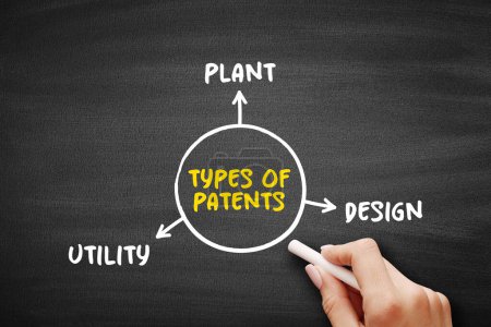Types of Patents (exclusive right granted for an invention) mind map text concept for presentations and reports
