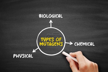 Types of Mutagen (anything that causes a mutation, a change in the DNA of a cell) mind map text concept background
