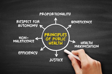 Principles of public health (science and art of preventing disease, prolonging life and promoting health through the organized efforts) mind map text concept background