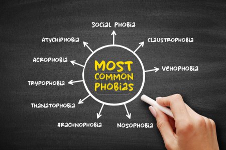 Die häufigsten Phobien (Angststörungen, definiert durch eine anhaltende und übermäßige Angst vor einem Objekt oder einer Situation)