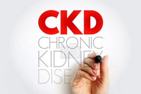 CKD Chronic Kidney Disease - gradual loss of kidney function over a period of months to years, acronym text concept background