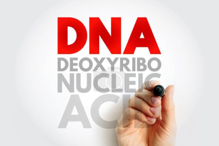 DNA Deoxyribonukleinsäure - Erbgut beim Menschen und fast allen anderen Organismen, Akronym Textkonzept Hintergrund