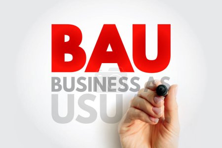 BAU Business As Usual - normal execution of standard functional operations within an organisation, acronym text concept background
