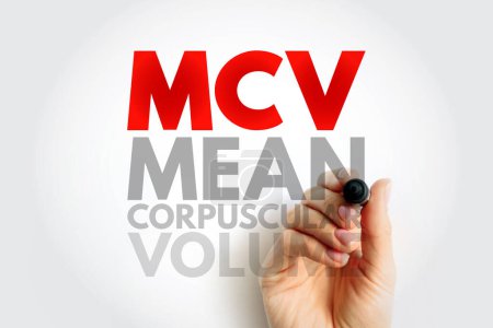 Volumen corpuscular medio del MCV - medida del volumen medio de un corpúsculo de sangre roja, fondo del concepto de texto acrónimo