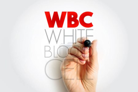 Foto de Glóbulos blancos glóbulos blancos - componente celular de la sangre que ayuda a defender el cuerpo contra la infección, fondo de concepto de texto acrónimo - Imagen libre de derechos