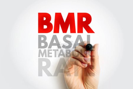 Tasa metabólica basal de BMR: número de calorías que quema a medida que su cuerpo realiza una función básica de mantenimiento de la vida, fondo de concepto de sello de texto de acrónimo