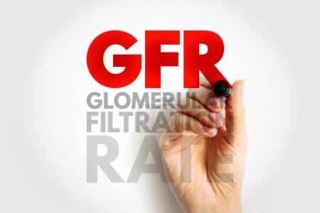 GFR Glomerular Filtration Rate - análisis de sangre que comprueba qué tan bien están funcionando sus riñones, acrónimo de fondo de concepto de texto