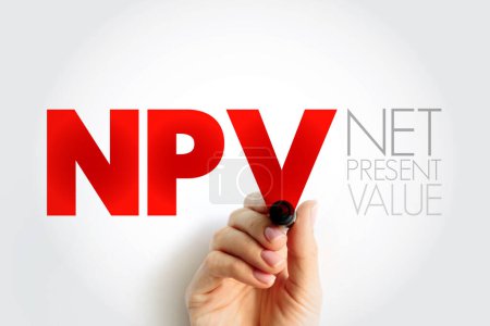 NPV Net Present Value - the cash flows at the required rate of return of your project compared to your initial investment, acronym text concept background