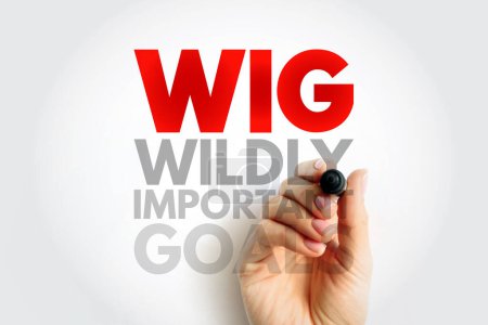 WIG Wildly Important Goals - highly important goals that must be achieved or no other goal matters, acronym text concept background