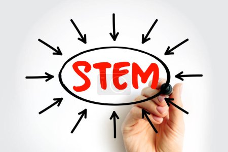 STIM Science, Technologie, Ingénierie, Mathématiques - terme large utilisé pour regrouper ces disciplines académiques, texte acronyme avec des flèches