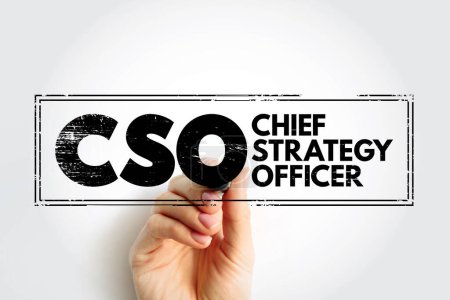 CSO Chief Strategy Officer - executive has primary responsibility for strategy formulation and management, including developing the corporate vision and strategy, acronym text stamp