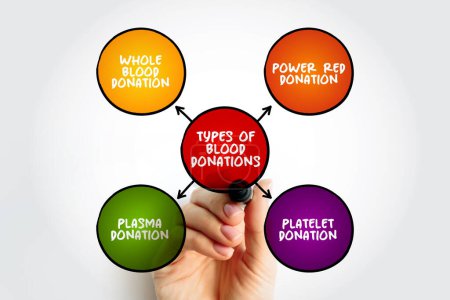 Types of blood donations mind map text concept for presentations and reports