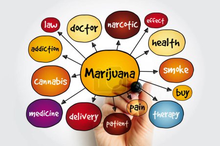 Foto de Mapa mental de la marihuana, concepto médico para presentaciones e informes - Imagen libre de derechos