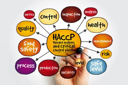 HACCP - Gefahrenanalyse und kritische Kontrollpunkte Mindmap, Gesundheitskonzept für Präsentationen und Berichte