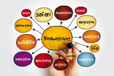 Birdwatching mind map, concept for presentations and reports