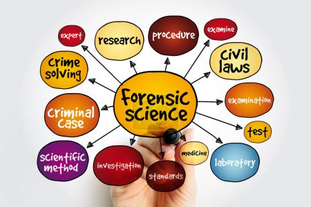 Mapa mental de ciencias forenses, concepto para presentaciones e informes