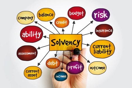 Solvency Mindmap, Geschäftskonzept für Präsentationen und Berichte