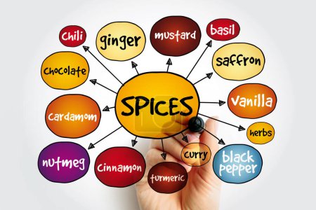 Spices mind map, concept for presentations and reports