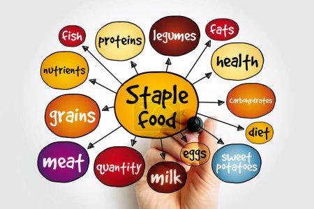 Staple Food is a food that makes up the dominant part of a population's diet, mind map concept background