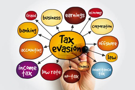 Tax evasion mind map, business concept for presentations and reports