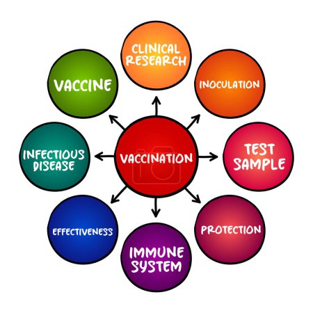 Illustration for Vaccination - administration of a vaccine to help the immune system develop protection from a disease, mind map concept for presentations and reports - Royalty Free Image