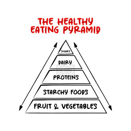 Illustration for The Healthy Eating Pyramid is divided into layers of differing sizes representing the five common food groups, pyramid concept for presentations and reports - Royalty Free Image
