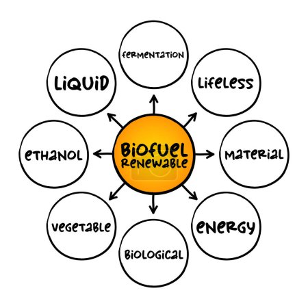 Téléchargez les illustrations : Biocombustibles renouvelables - dérivés entièrement de matières organiques d'origine végétale, concept de carte mentale pour les présentations et les rapports - en licence libre de droit