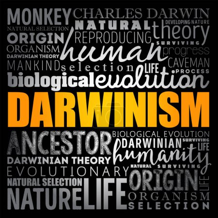 Illustration for Darwinism - is a theory of biological evolution developed by the English naturalist Charles Darwin, word cloud education concept background - Royalty Free Image