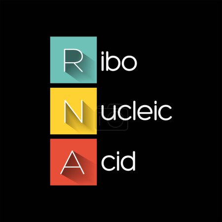 Ilustración de ARN - acrónimo de ácido ribonucleico, antecedentes de concepto médico - Imagen libre de derechos