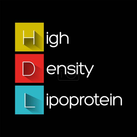 Téléchargez les illustrations : HDL High-Density Lipoprotein - l'un des cinq principaux groupes de lipoprotéines, l'acronyme de fond du concept de texte - en licence libre de droit
