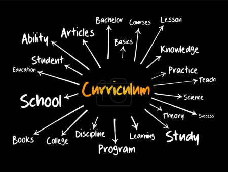 Ilustración de Curriculum mind map diagrama de flujo, concepto de educación para presentaciones e informes - Imagen libre de derechos