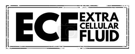 Illustration for ECF Extracellular fluid - body fluid that is not contained in cells, acronym text concept stamp - Royalty Free Image