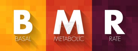 Téléchargez les illustrations : BMR Basal Metabolic Rate - nombre de calories que vous brûlez pendant que votre corps remplit une fonction vitale de base, l'acronyme texte concept arrière-plan - en licence libre de droit