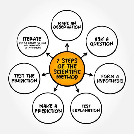 Téléchargez les illustrations : 7 steps of the scientific method, mind map text concept for presentations and reports - en licence libre de droit