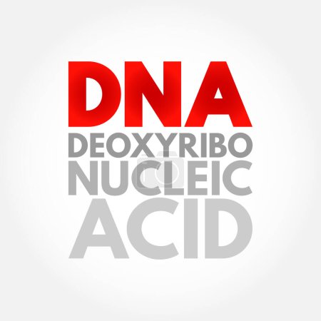 Téléchargez les illustrations : ADN Acide désoxyribonucléique - matériel héréditaire chez l'homme et presque tous les autres organismes, acronyme texte concept fond - en licence libre de droit