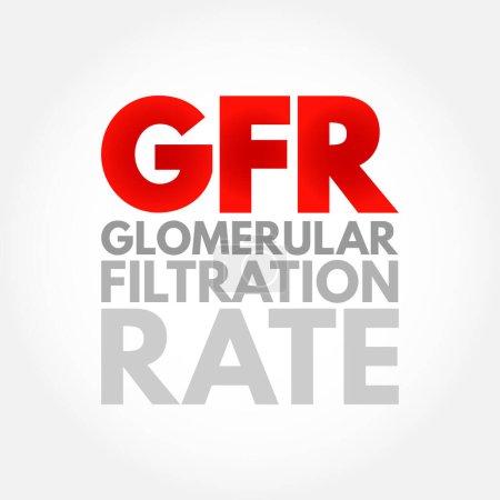 Illustration for GFR Glomerular Filtration Rate - blood test that checks how well your kidneys are working, acronym text concept background - Royalty Free Image