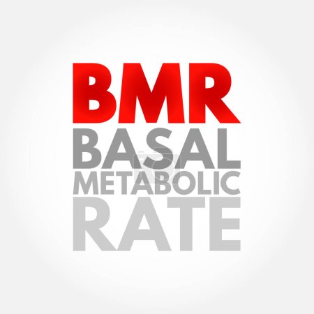 Illustration for BMR Basal Metabolic Rate - number of calories you burn as your body performs basic life-sustaining function, acronym text concept background - Royalty Free Image