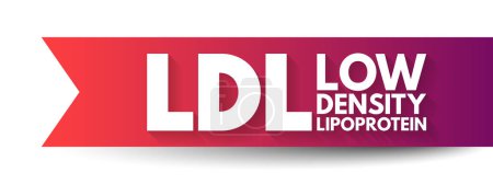 Ilustración de LDL Lipoproteína de Baja Densidad - uno de los cinco grupos principales de lipoproteínas que transportan todas las moléculas de grasa alrededor del cuerpo en el agua extracelular, fondo de concepto de texto acrónimo - Imagen libre de derechos