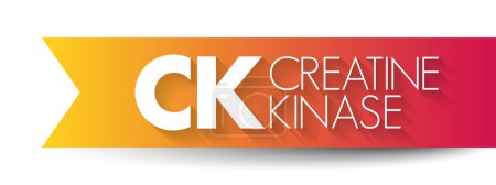 Téléchargez les illustrations : CK Créatine Kinase - enzyme exprimée par divers tissus et types de cellules, acronyme texte concept fond - en licence libre de droit