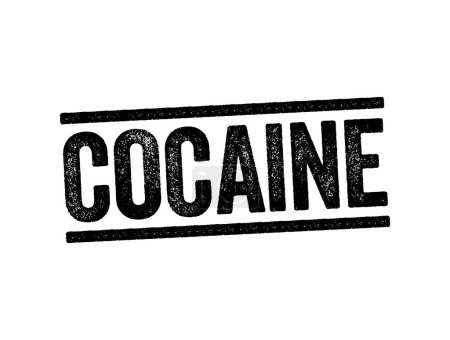 Téléchargez les illustrations : La cocaïne est une drogue stimulante obtenue à partir des feuilles de deux espèces de coca. - en licence libre de droit